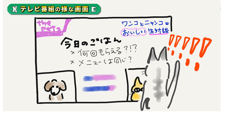 テレビ番組様な画面